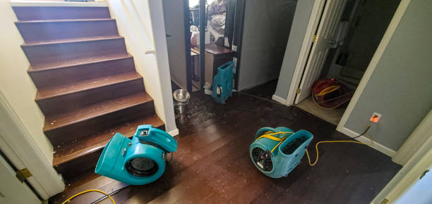 Water damage restoration mold remediation in Ore City, TX