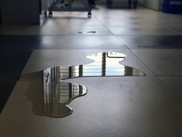 Best Water damage restoration specialists  in Ore City, TX