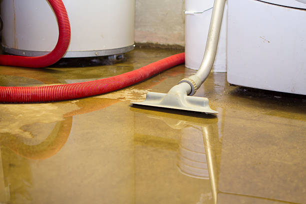 Best Residential water damage restoration  in Ore City, TX