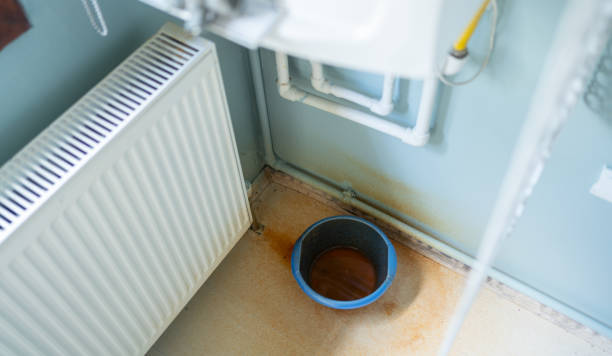 Best Mold removal after water damage  in Ore City, TX