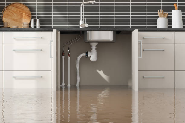  Ore City, TX Water damage restoration Pros